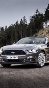 Preview wallpaper ford mustang, convertible, road