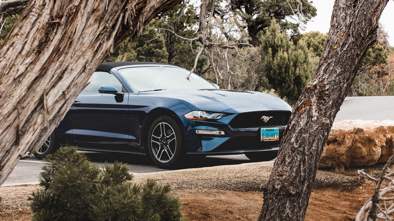 Wallpaper ford mustang, ford, car, convertible, blue, trees, branches