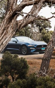 Preview wallpaper ford mustang, ford, car, convertible, blue, trees, branches