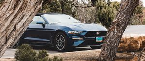 Preview wallpaper ford mustang, ford, car, convertible, blue, trees, branches
