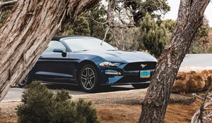 Preview wallpaper ford mustang, ford, car, convertible, blue, trees, branches