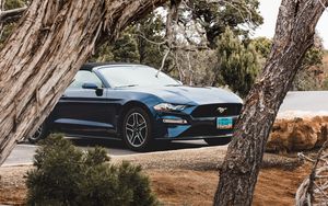 Preview wallpaper ford mustang, ford, car, convertible, blue, trees, branches