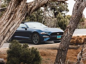 Preview wallpaper ford mustang, ford, car, convertible, blue, trees, branches