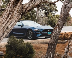 Preview wallpaper ford mustang, ford, car, convertible, blue, trees, branches