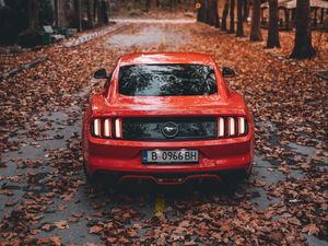 Preview wallpaper ford mustang, ford, car, sports car, red, road, autumn