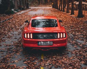 Preview wallpaper ford mustang, ford, car, sports car, red, road, autumn