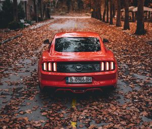Preview wallpaper ford mustang, ford, car, sports car, red, road, autumn