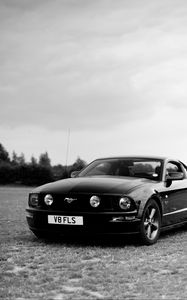 Preview wallpaper ford mustang, ford, car, black, field, black and white