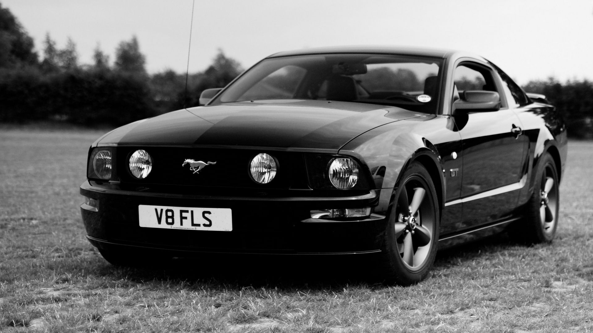 Download Wallpaper 1920x1080 Ford Mustang Ford Car Black Field