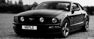Preview wallpaper ford mustang, ford, car, black, field, black and white