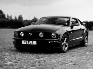 Preview wallpaper ford mustang, ford, car, black, field, black and white