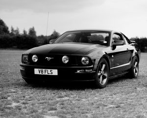 Preview wallpaper ford mustang, ford, car, black, field, black and white