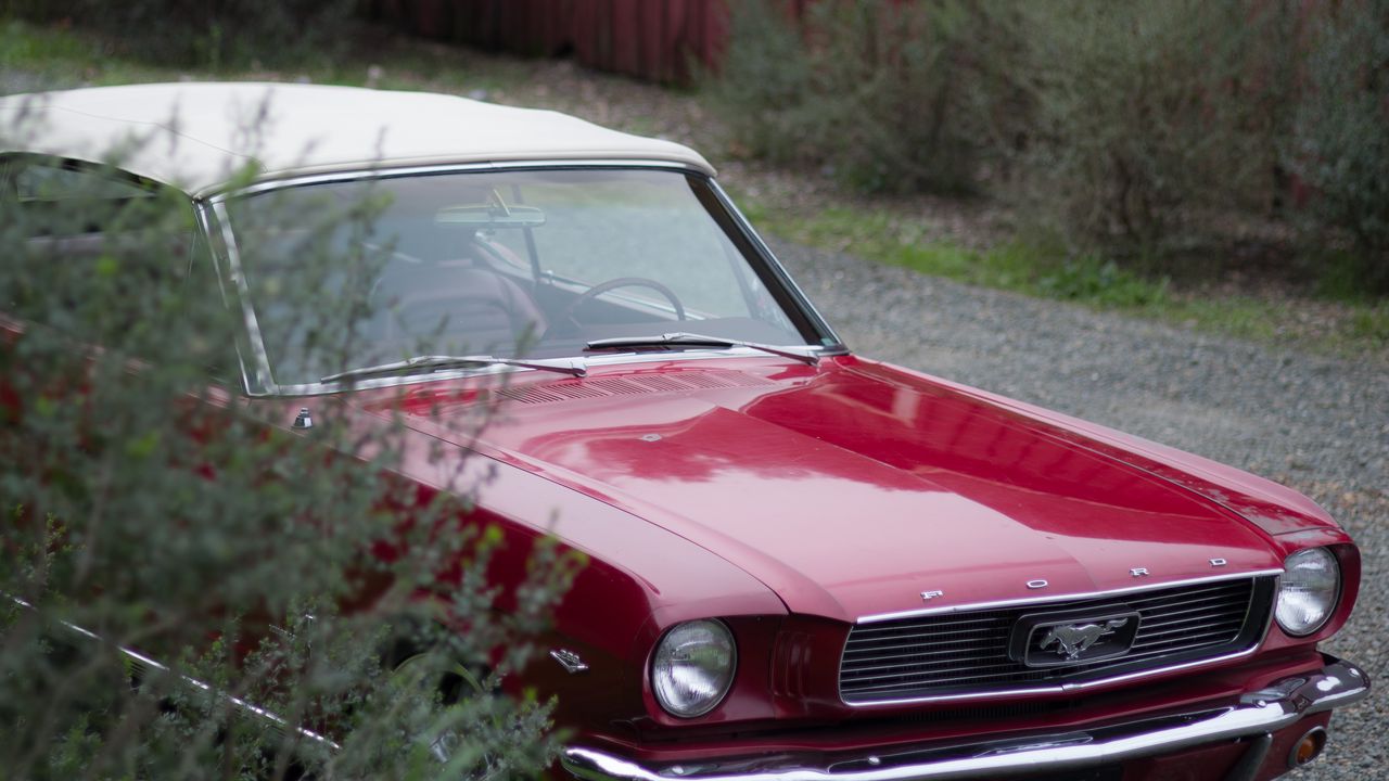 Wallpaper ford mustang, ford, car, red, headlight