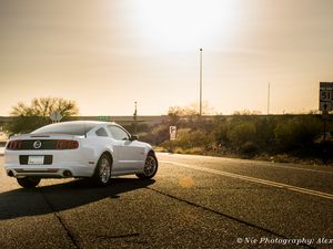 Preview wallpaper ford mustang, ford, car, back view, asphalt