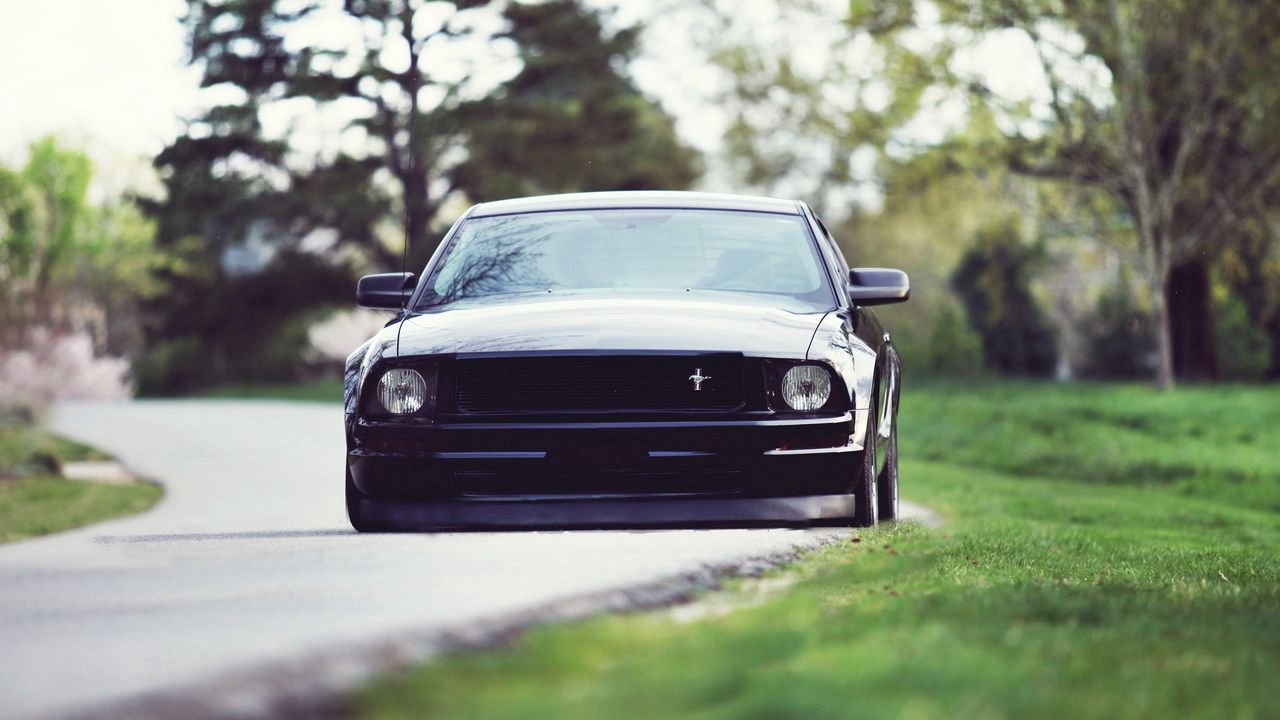 Wallpaper ford, mustang, ford mustang shelby gt500, shelby gt500
