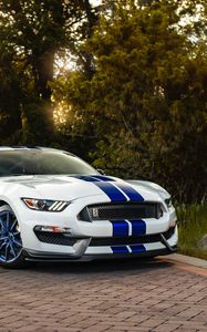 Preview wallpaper ford mustang gt350, ford, car, sportscar, white, side view