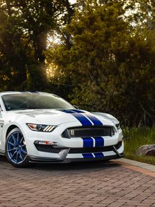 Preview wallpaper ford mustang gt350, ford, car, sportscar, white, side view