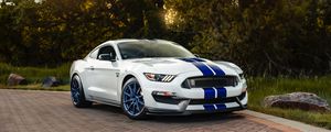 Preview wallpaper ford mustang gt350, ford, car, sportscar, white, side view