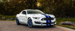 Preview wallpaper ford mustang gt350, ford, car, sportscar, white, side view