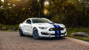 Preview wallpaper ford mustang gt350, ford, car, sportscar, white, side view