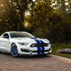 Preview wallpaper ford mustang gt350, ford, car, sportscar, white, side view