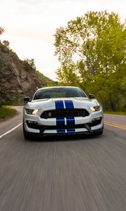 Preview wallpaper ford mustang gt350, ford, car, sportscar, road, speed