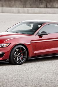 Preview wallpaper ford mustang, gt350r, shelby, red, side view