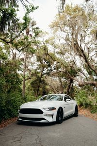 Preview wallpaper ford mustang, mustang, car, sports car, white