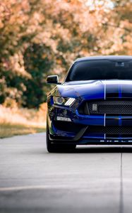 Preview wallpaper ford mustang, mustang, car, blue, road