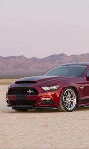 Preview wallpaper ford, mustang, shelby, side view