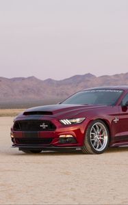 Preview wallpaper ford, mustang, shelby, side view