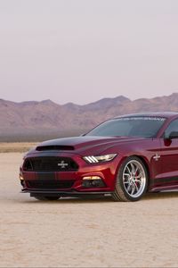 Preview wallpaper ford, mustang, shelby, side view