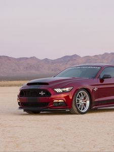 Preview wallpaper ford, mustang, shelby, side view