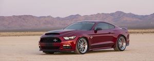 Preview wallpaper ford, mustang, shelby, side view