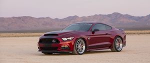 Preview wallpaper ford, mustang, shelby, side view