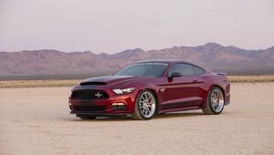 Preview wallpaper ford, mustang, shelby, side view