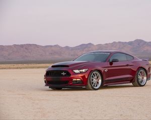 Preview wallpaper ford, mustang, shelby, side view