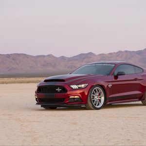 Preview wallpaper ford, mustang, shelby, side view