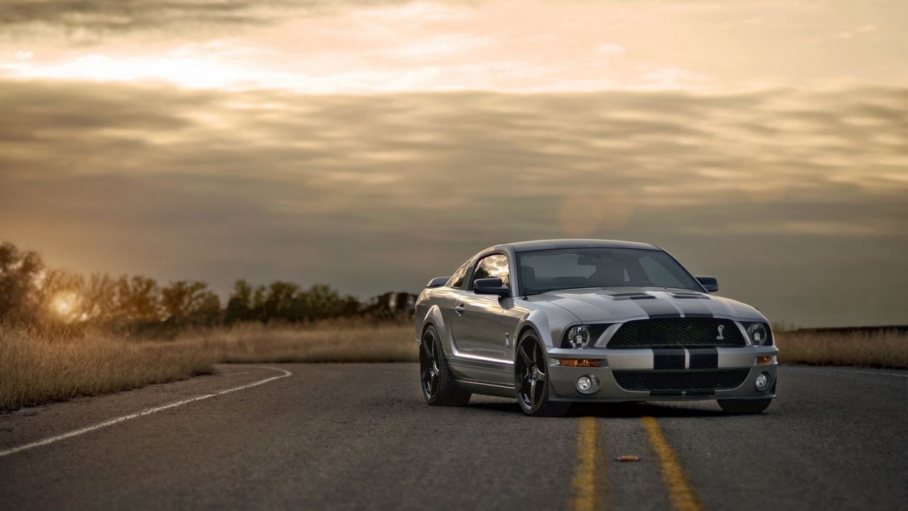 Wallpaper ford, mustang, shelby, silver, muscle car, road, sunset