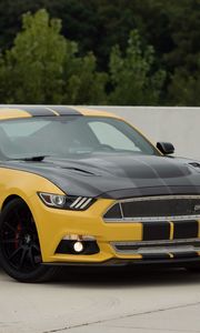 Preview wallpaper ford mustang, shelby, gt, side view