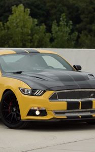 Preview wallpaper ford mustang, shelby, gt, side view