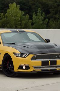 Preview wallpaper ford mustang, shelby, gt, side view