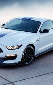 Preview wallpaper ford mustang, shelby, sports car