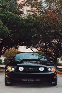 Preview wallpaper ford mustang, sports car, front view, black, trees