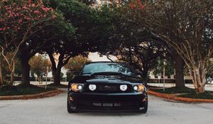 Preview wallpaper ford mustang, sports car, front view, black, trees