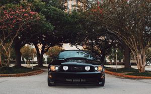 Preview wallpaper ford mustang, sports car, front view, black, trees