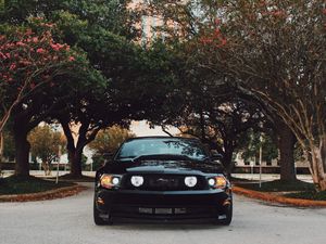 Preview wallpaper ford mustang, sports car, front view, black, trees