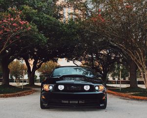 Preview wallpaper ford mustang, sports car, front view, black, trees