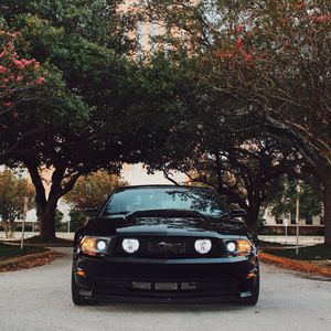Preview wallpaper ford mustang, sports car, front view, black, trees