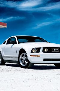 Preview wallpaper ford, mustang, white, motion